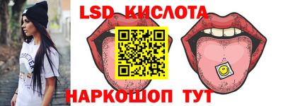 a pvp Новозыбков