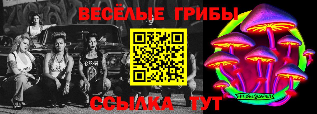 Галлюциногенные грибы Psilocybine cubensis  где продают   Сухой Лог  Псилоцибиновые грибы прущие грибы  Вход с VPN 